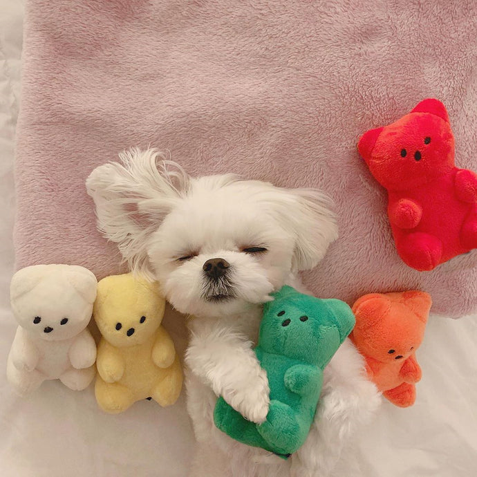 Lifelike Plush Jelly bear Squeaker Dog Toy-Pets Accessories-PETsgoi-PETsgoi