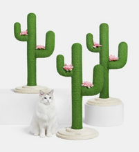 Load image into Gallery viewer, Oasis Cactus Cat Tree
