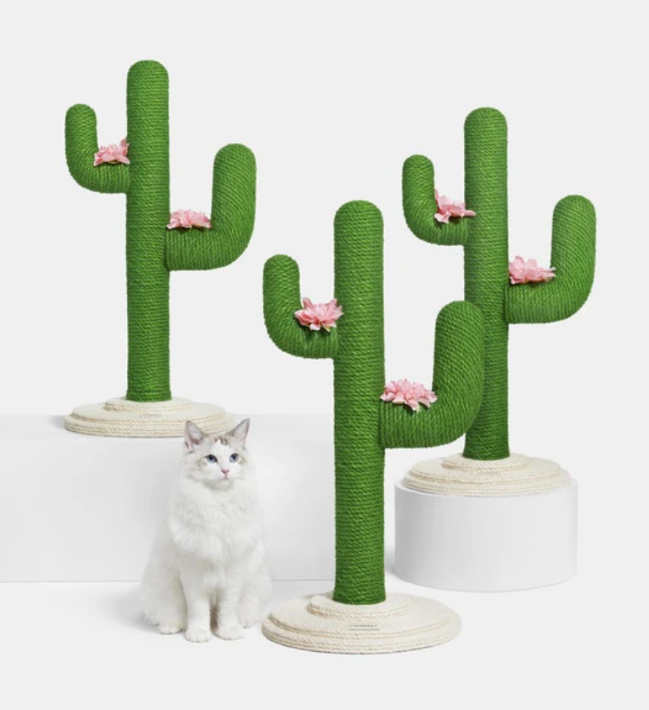 Oasis Cactus Cat Tree