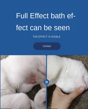 Load image into Gallery viewer, DCVET Pet Medicated Bath Gel Shampoo for Dogs and Cats&#39; Skin Disease
